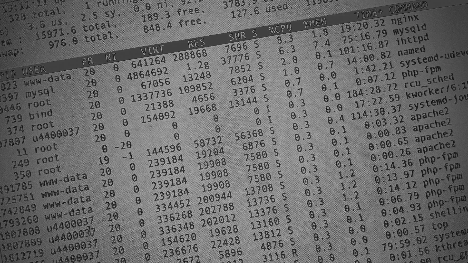 Настройка сервера в Урус-Мартане