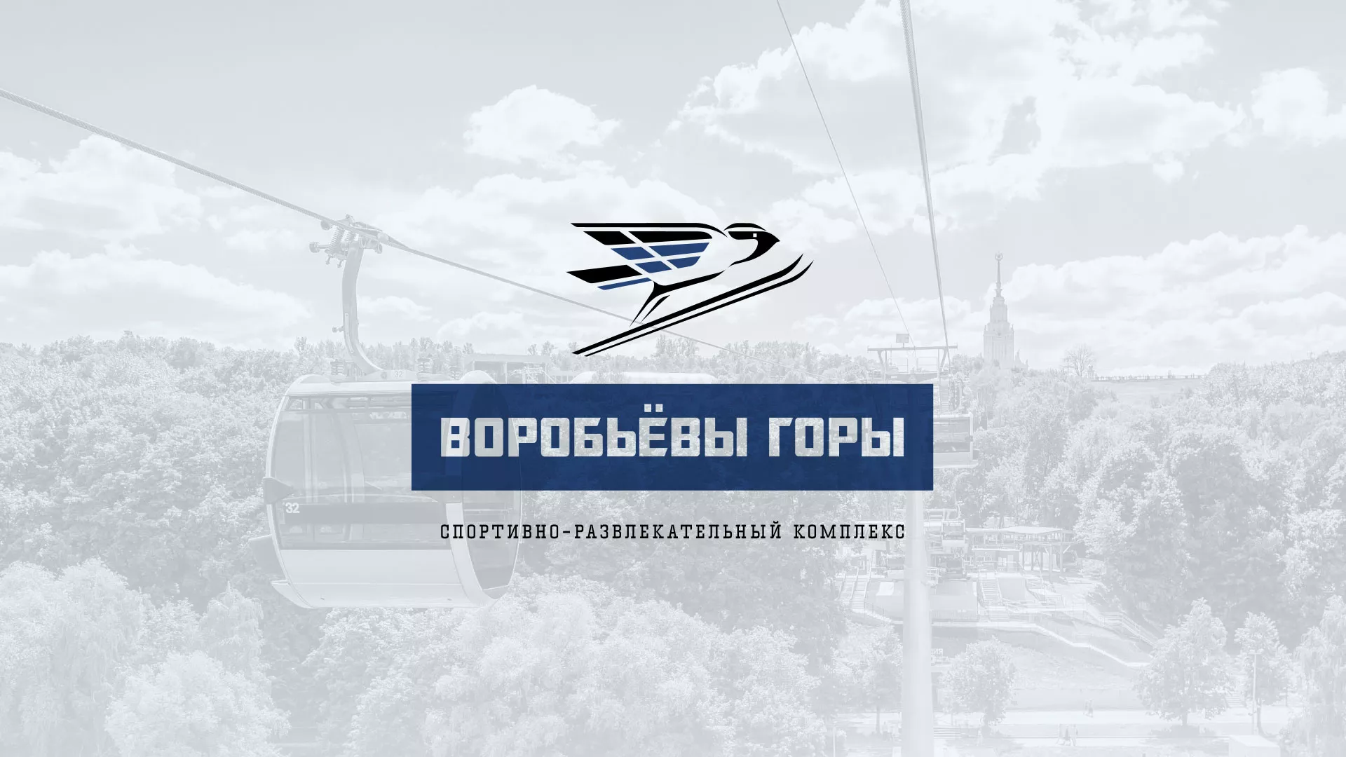 Разработка сайта в Урус-Мартане для спортивно-развлекательного комплекса «Воробьёвы горы»